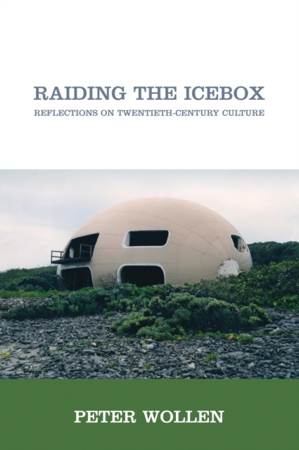 E-book Raiding the Icebox Peter Wollen