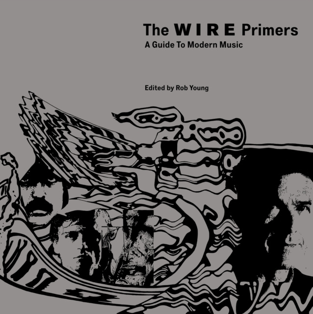 Libro electrónico Wire Primers Rob Young