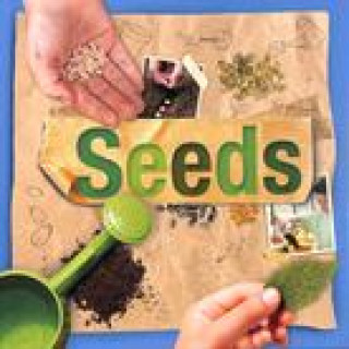 Knjiga Seeds Steffi Cavell-Clarke