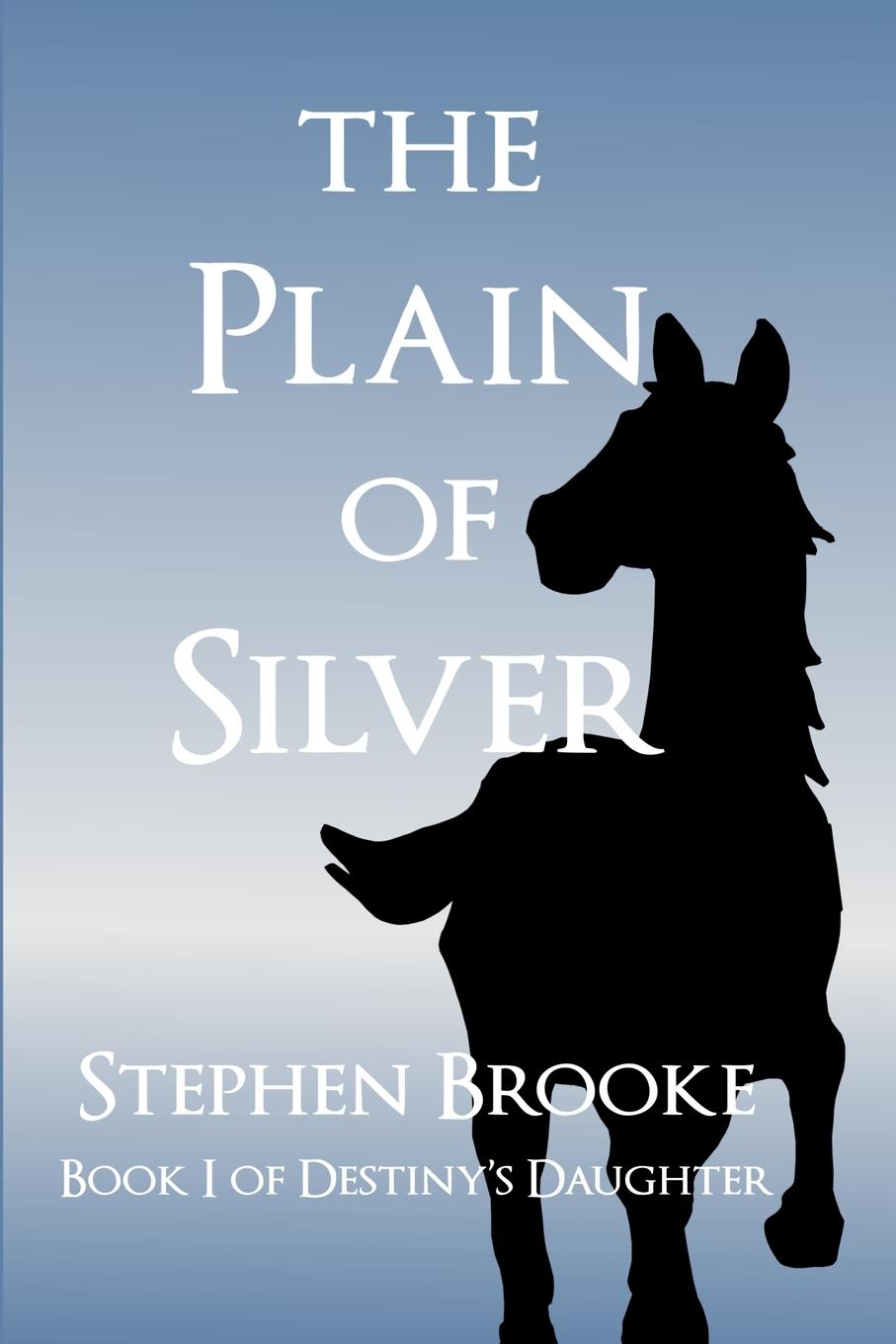 Książka The Plain of Silver Stephen Brooke