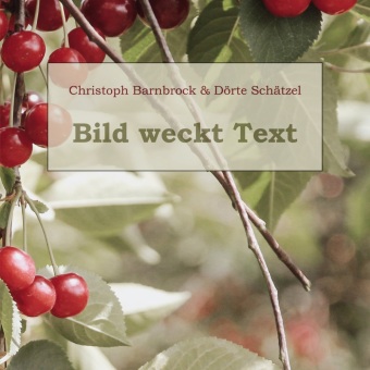 Knjiga Bild weckt Text Dörte Schätzel