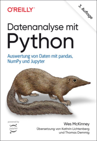 Kniha Datenanalyse mit Python Kathrin Lichtenberg