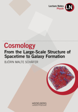 Knjiga Cosmology Schäfer Björn Malte