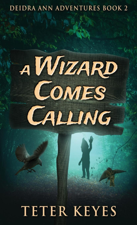 Book A Wizard Comes Calling Teter Keyes