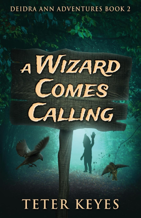 Book A Wizard Comes Calling Teter Keyes