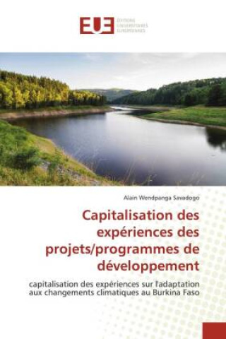 Knjiga Capitalisation des expériences des projets/programmes de développement Alain Wendpanga Savadogo