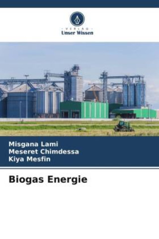 Könyv Biogas Energie Meseret Chimdessa