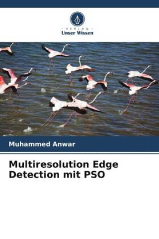 Knjiga Multiresolution Edge Detection mit PSO Muhammed Anwar