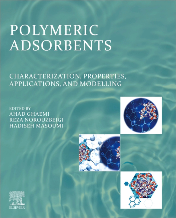 Kniha Polymeric Adsorbents Ahad Ghaemi