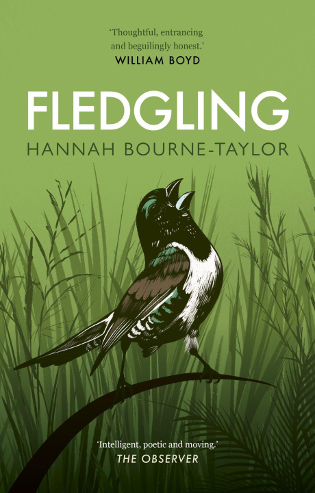 Kniha Fledgling Hannah Bourne-Taylor