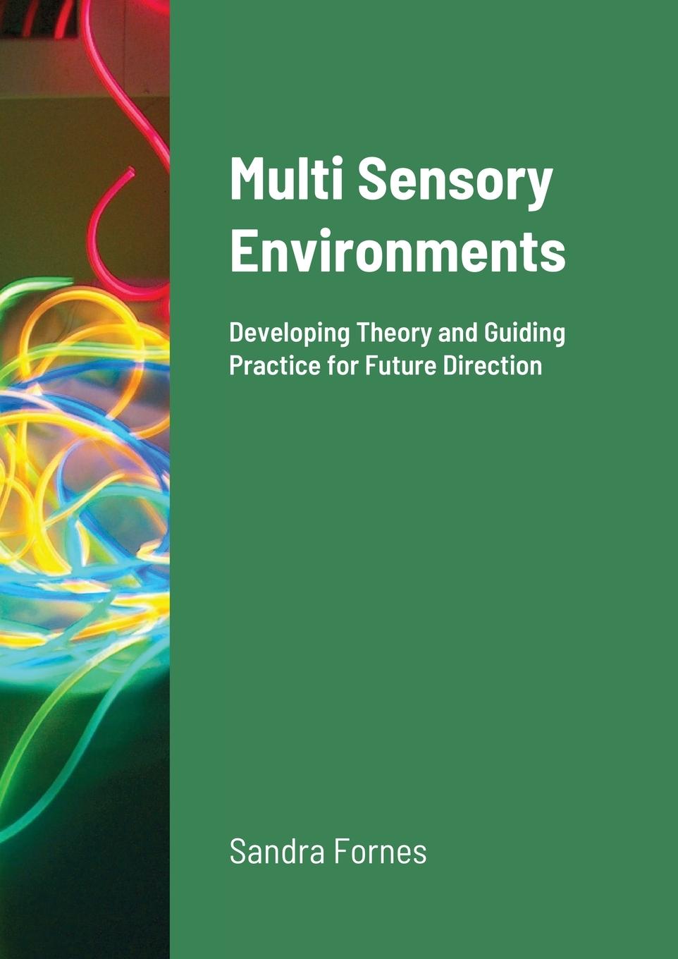 Knjiga Multi Sensory Environments Sandra Fornes