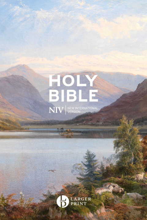 Carte NIV Larger Print Gift Hardback Bible New International Version