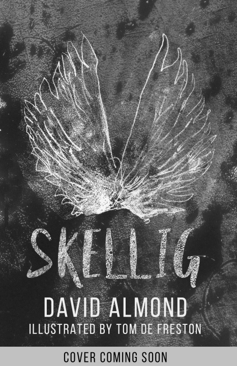 Kniha Skellig: the 25th anniversary illustrated edition David Almond