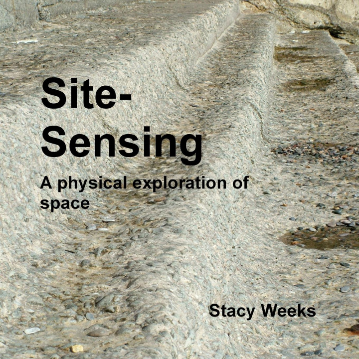 Knjiga Site sensing Stacy Weeks