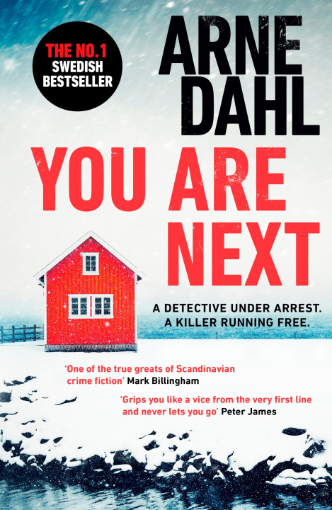Kniha You Are Next Arne Dahl