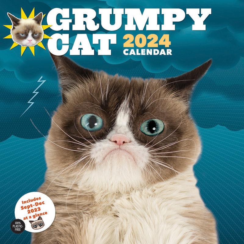 Kalendár/Diár 2024 Wall Cal: Grumpy Cat Grumpy Cat