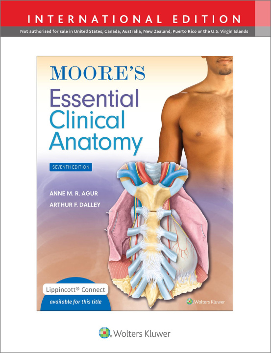 Książka Moore's Essential Clinical Anatomy Agur