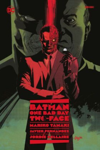 Kniha Batman - One Bad Day: Two Face Javier Fernandez
