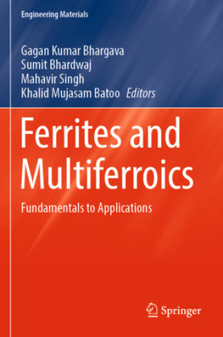 Kniha Ferrites and Multiferroics Gagan Kumar Bhargava