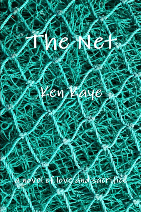 Kniha The Net Ken Kaye