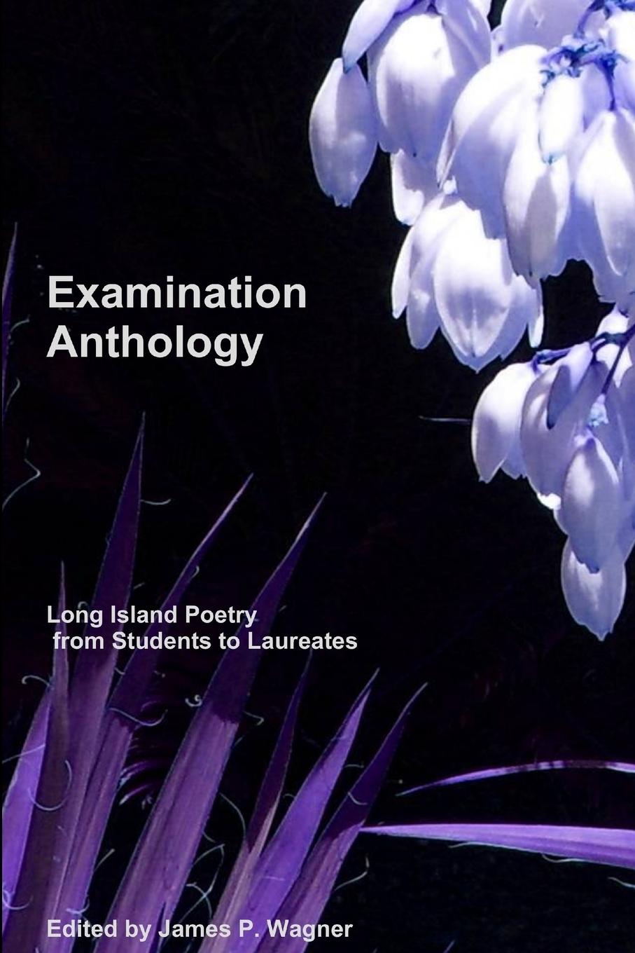 Knjiga Examination Anthology James P. Wagner