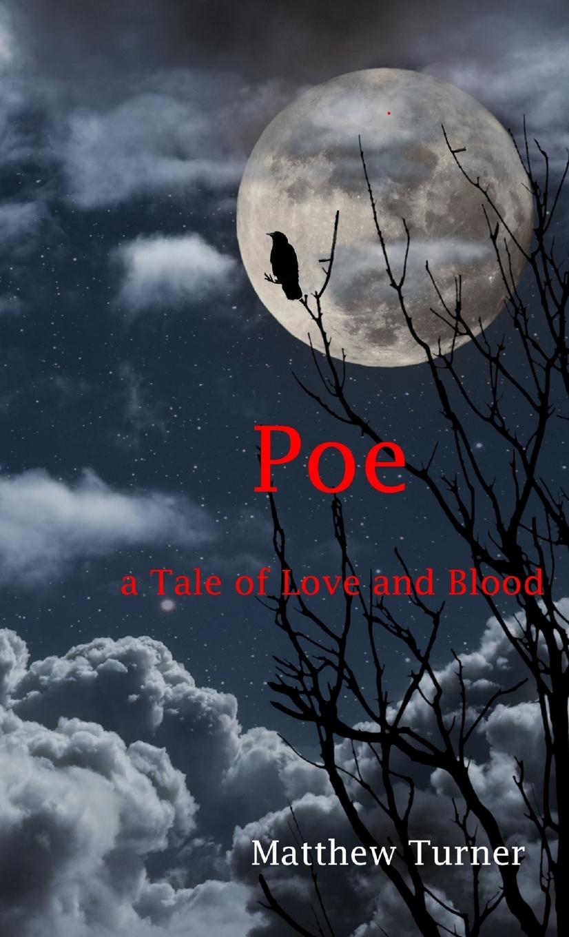 Book Poe Matthew Turner