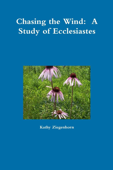 Knjiga Chasing the Wind Kathy Ziegenhorn