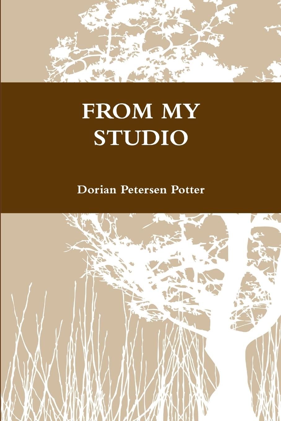 Knjiga FROM MY STUDIO Dorian Petersen Potter