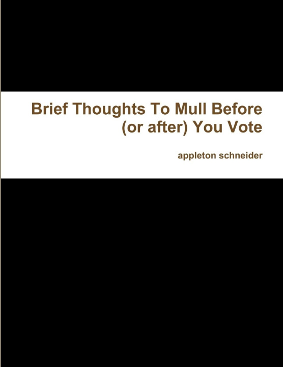 Knjiga Brief Thoughts To Mull Before (or after) You Vote appleton schneider