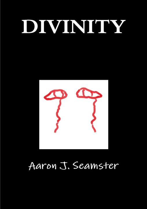 Knjiga Divinity Aaron Seamster