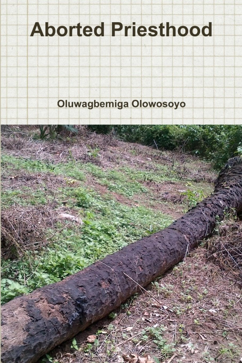 Knjiga Aborted Priesthood Oluwagbemiga Olowosoyo