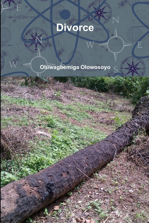 Knjiga Divorce Oluwagbemiga Olowosoyo