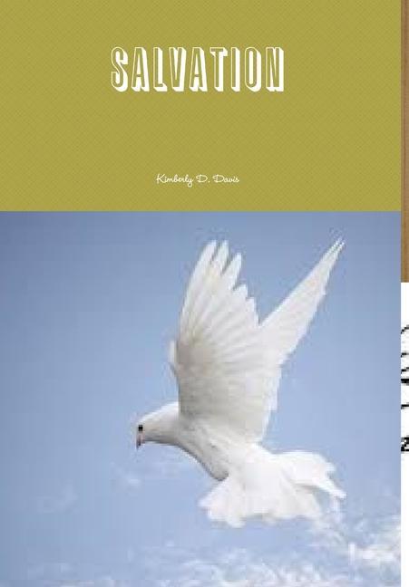 Libro Salvation Kimberly Davis