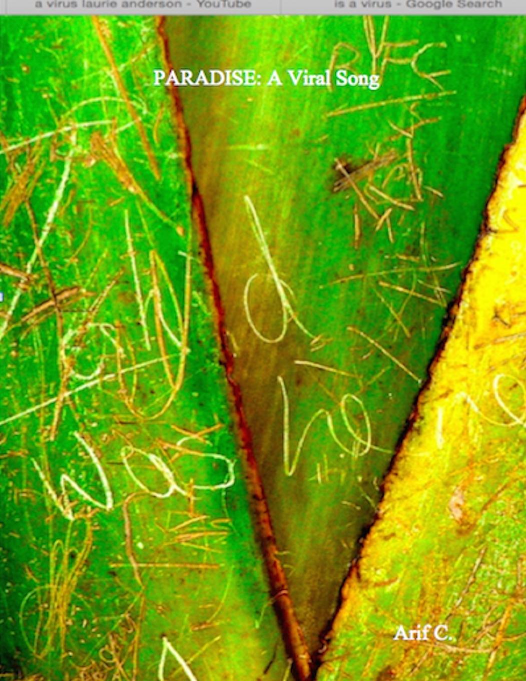 Knjiga Paradise Arif C.