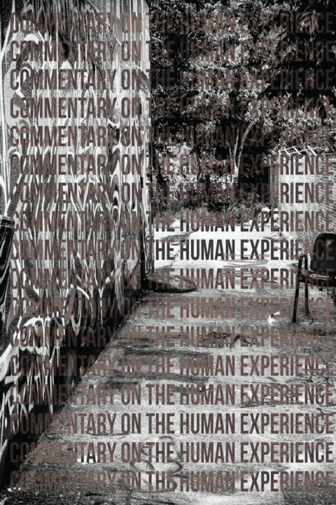 Knjiga Commentary on the Human Experience, Third Edition Rica G.
