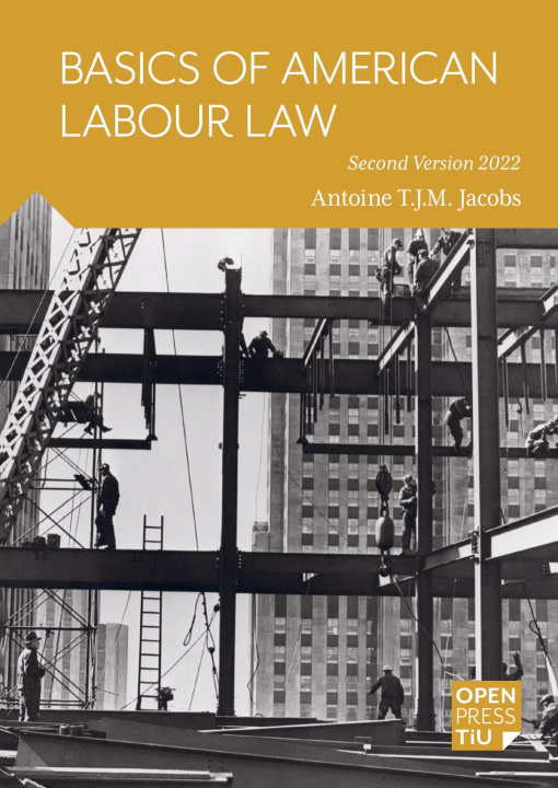 Книга Basics of American Labour Law 