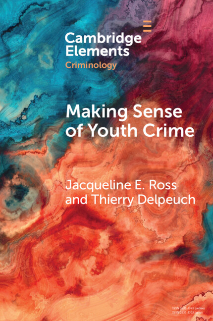 Kniha Making Sense of Youth Crime Jacqueline E. Ross
