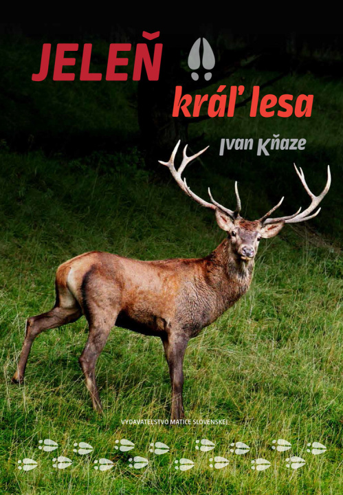 Book Jeleň kráľ lesa Ivan Kňaze