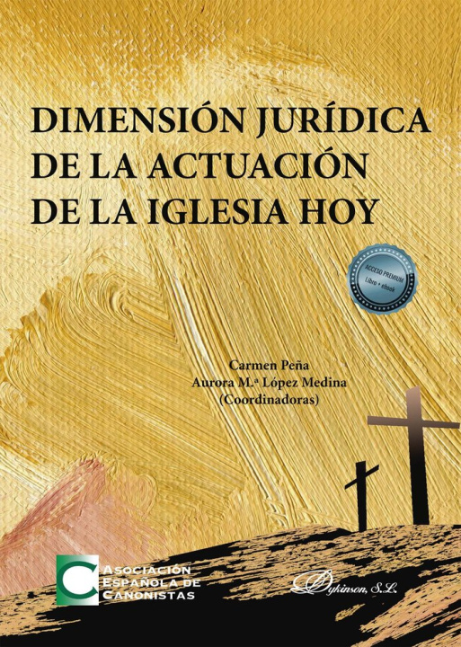 Kniha DIMENSION JURIDICA DE LA ACTUACION DE LA IGLESIA HOY 
