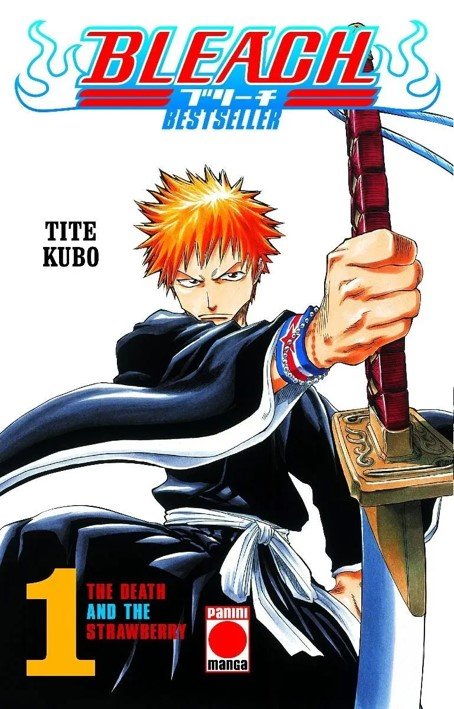 Könyv BLEACH BESTSELLER 1 THE DEATH AND THE STRAWBERRY Tite Kubo