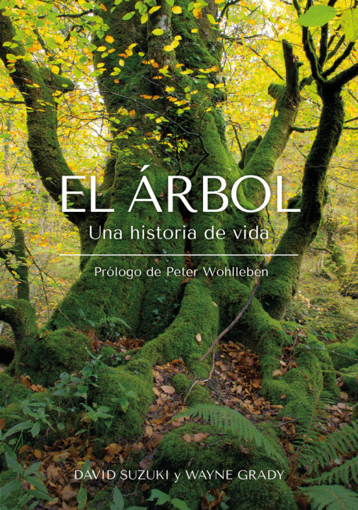 Kniha EL ARBOL SUZUKI