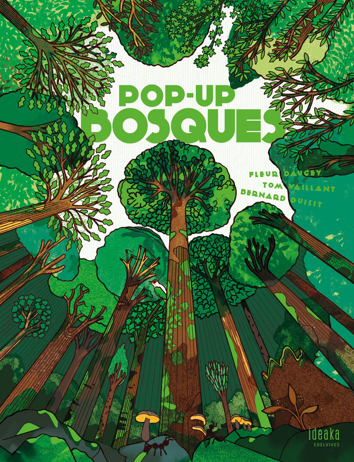 Книга Pop-up Bosques FLEUR DAUGEY