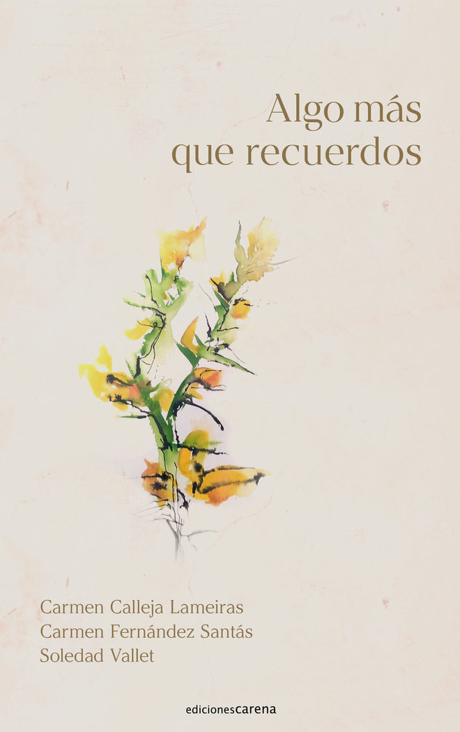 Libro ALGO MAS QUE RECUERDOS CALLEJA LAMEIRAS