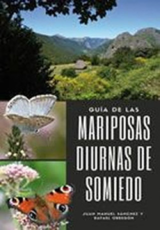 Könyv GUIA DE LAS MARIPOSAS DIURNAS DE SOMIEDO JUAN MANUEL SANCHEZ