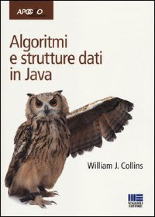 Kniha Algoritmi e strutture dati in Java William Collins