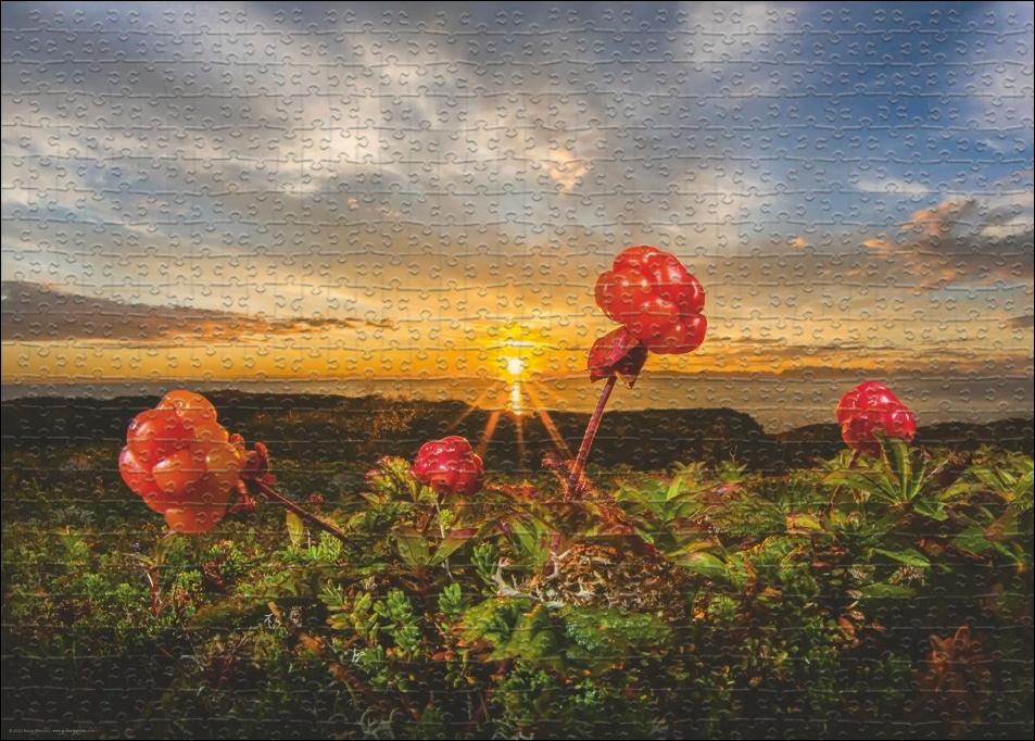 Buch Cloudberries Puzzle 1000 Teile 