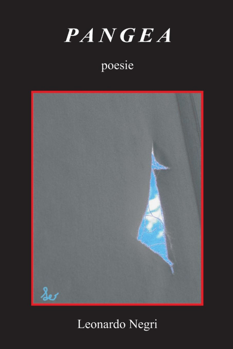 Knjiga Pangea Leonardo Negri