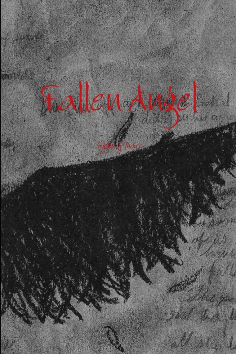 Boek Fallen Angel Sydney Marr