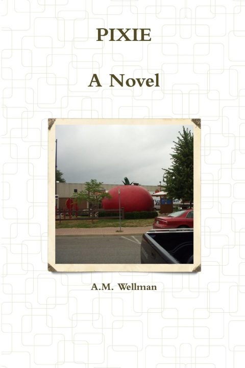 Knjiga Pixie A.M. Wellman