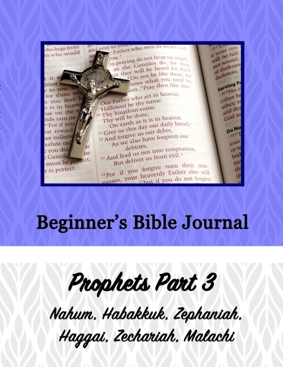 Knjiga Beginner's Bible Journal Alexandria Robinson